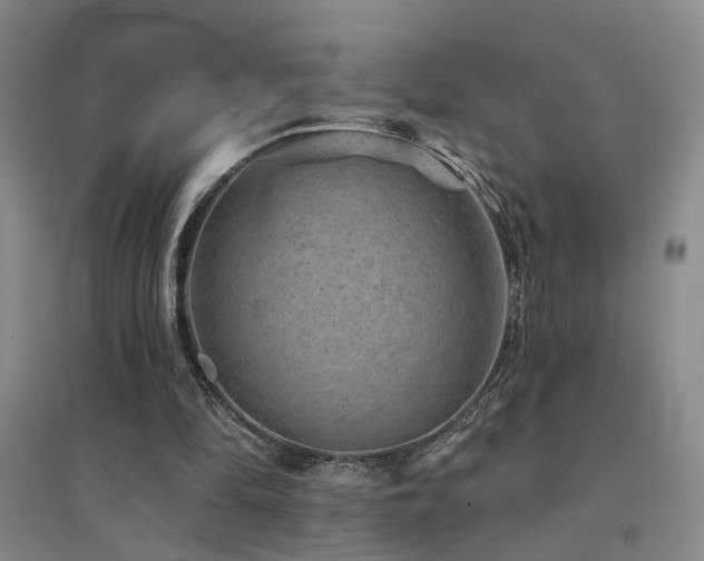X0000094440294200711081255