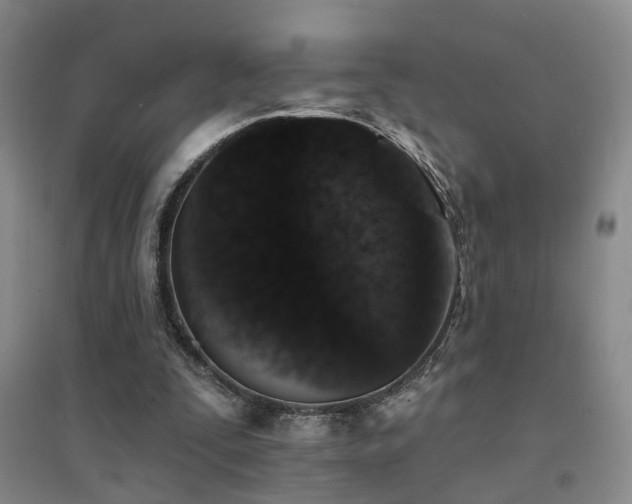 X0000094440295200711081255