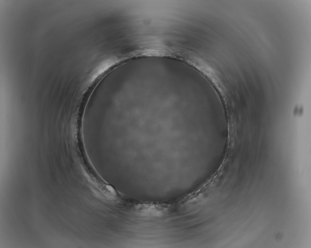X0000094440297200711081255