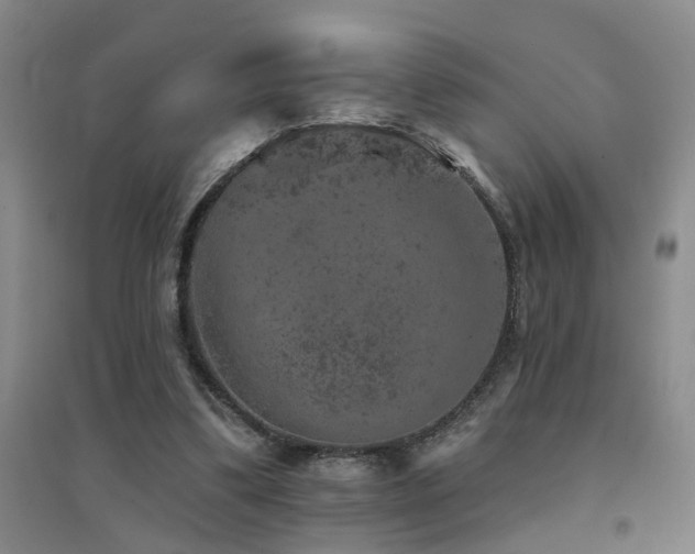 X0000094440299200711081255