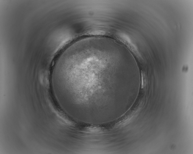 X0000094440300200711081255