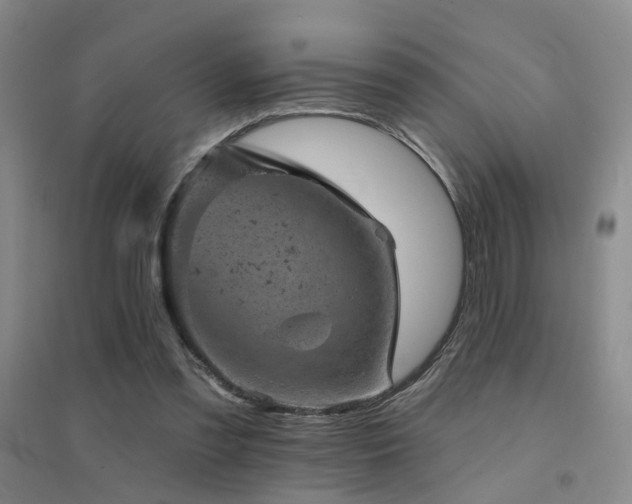 X0000094440301200711081255