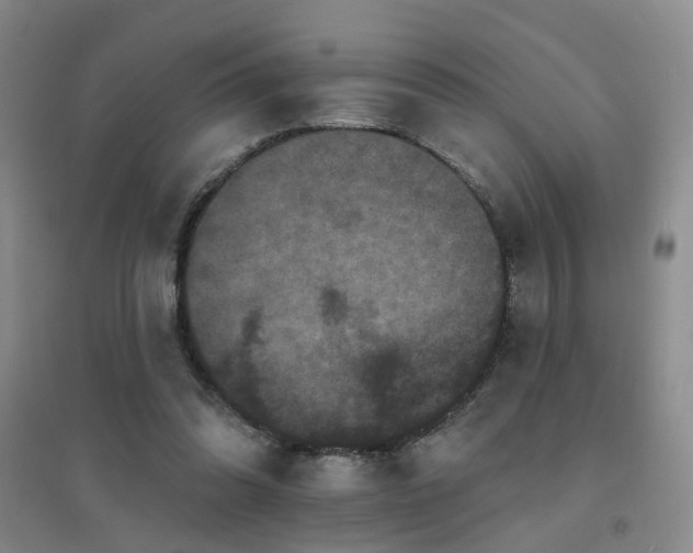 X0000094440302200711081255