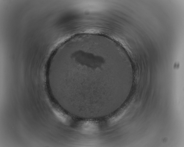 X0000094440303200711081255
