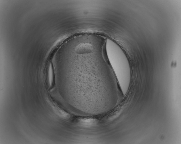 X0000094440304200711081255