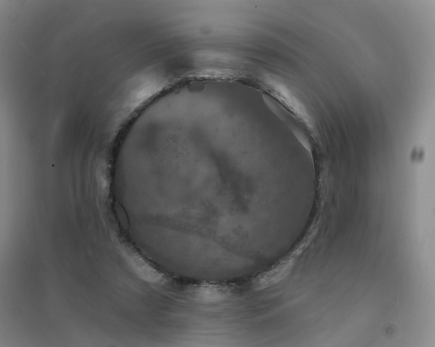 X0000094440305200711081255
