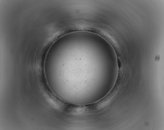 X0000094440306200711081255