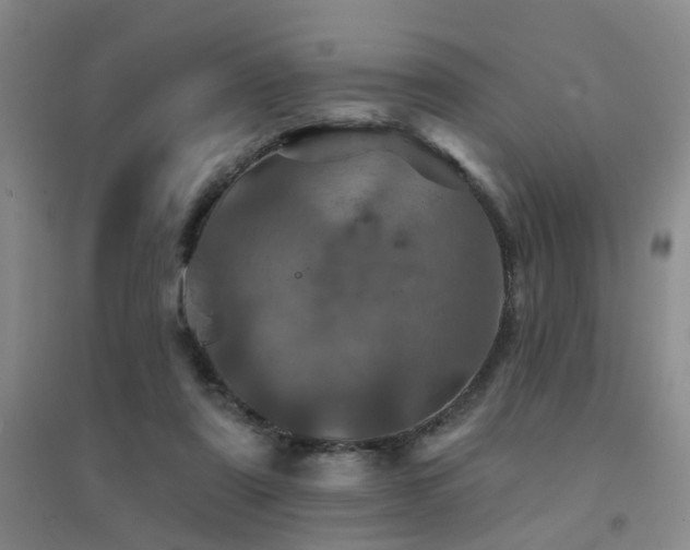 X0000094440307200711081255