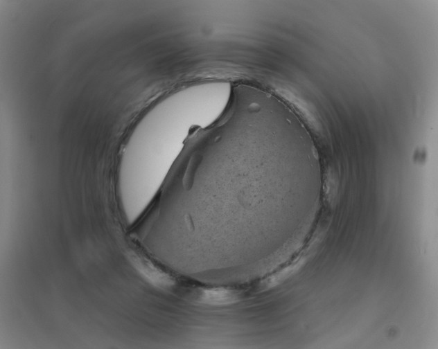 X0000094440309200711081255