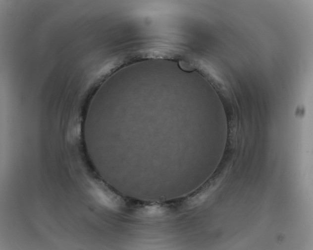 X0000094440310200711081255