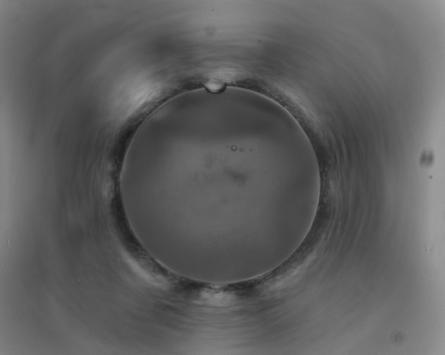 X0000094440311200711081255