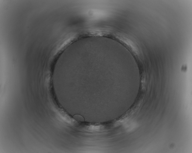 X0000094440314200711081255