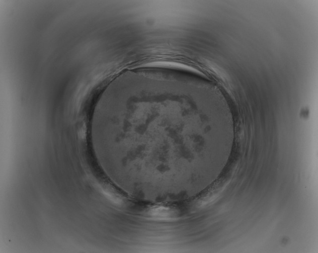 X0000094440315200711081255