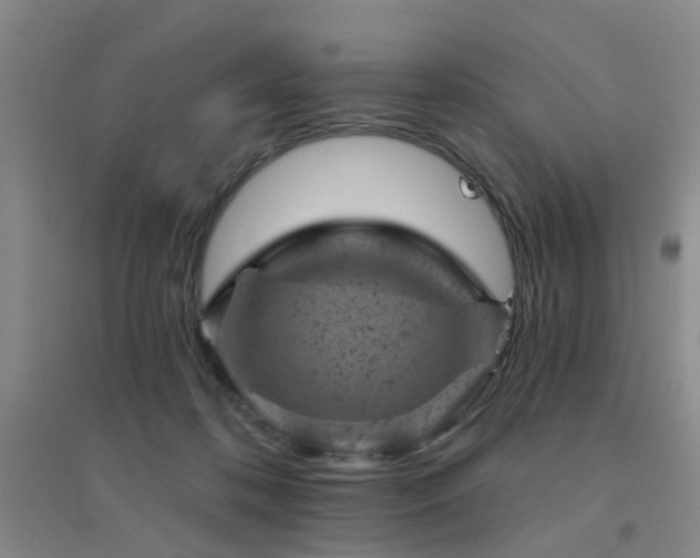 X0000094440316200711081255