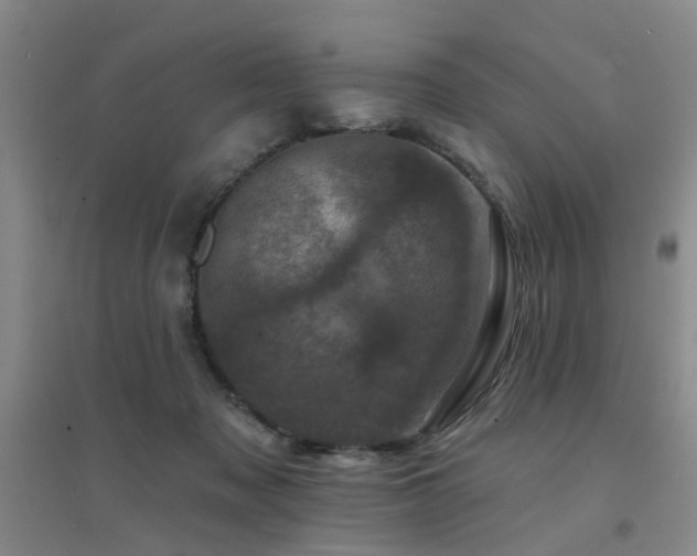 X0000094440317200711081254