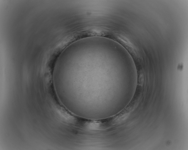 X0000094440318200711081254