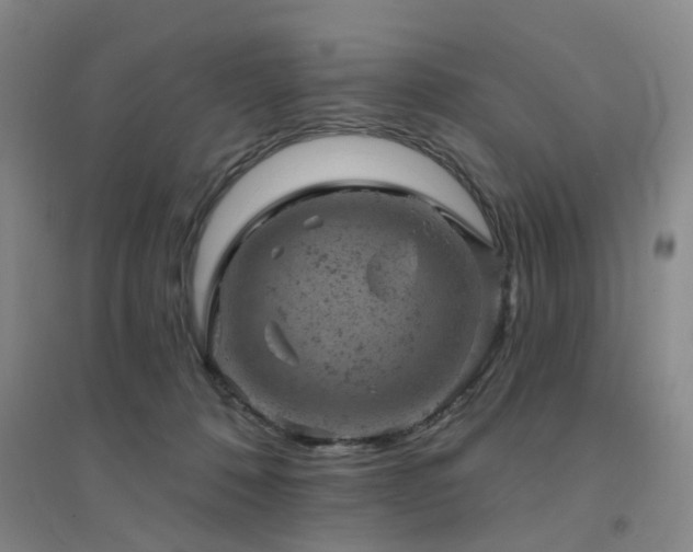 X0000094440320200711081254