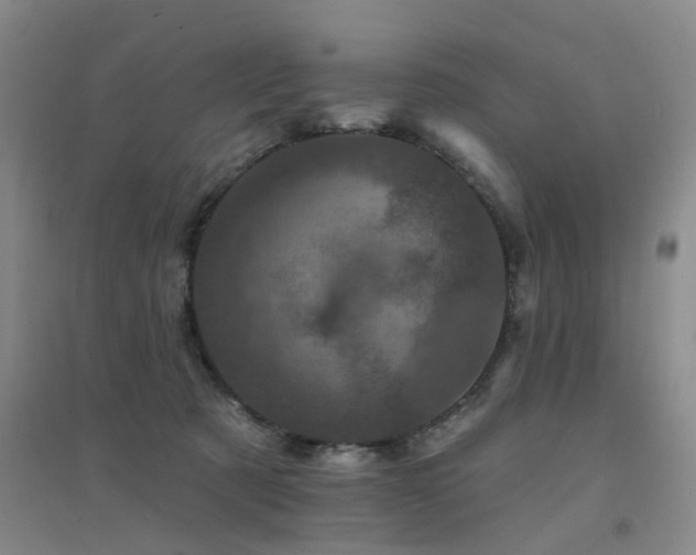 X0000094440321200711081254