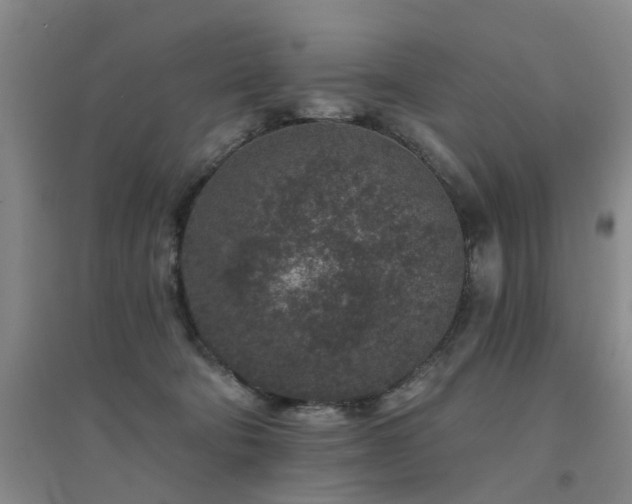 X0000094440322200711081254