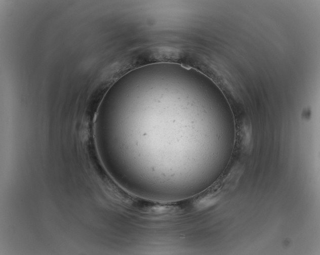 X0000094440323200711081254