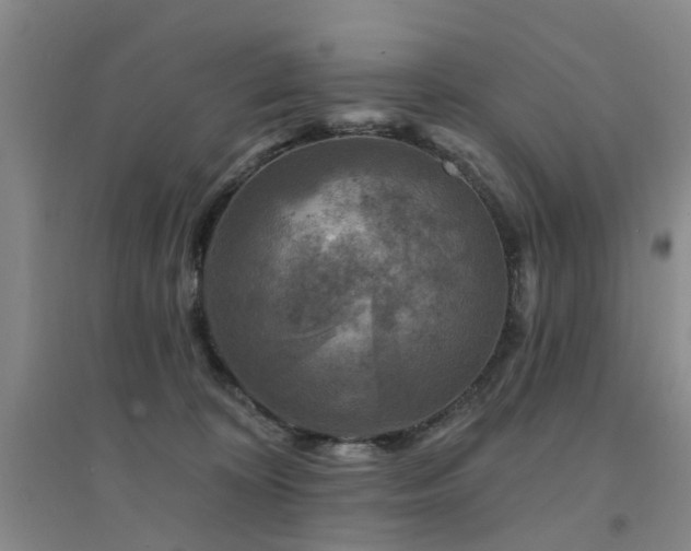X0000094440324200711081254