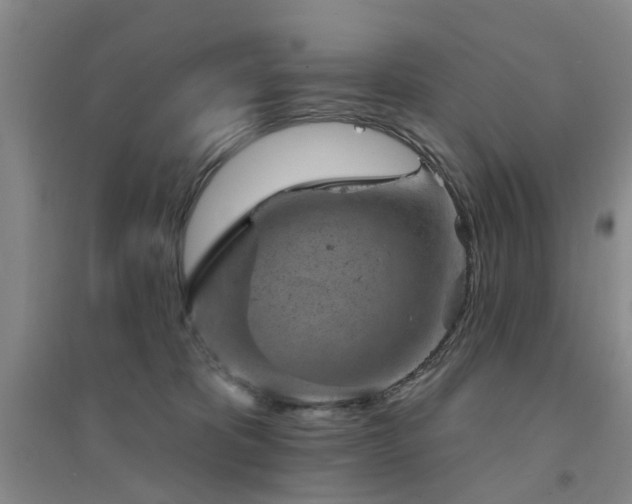 X0000094440325200711081254