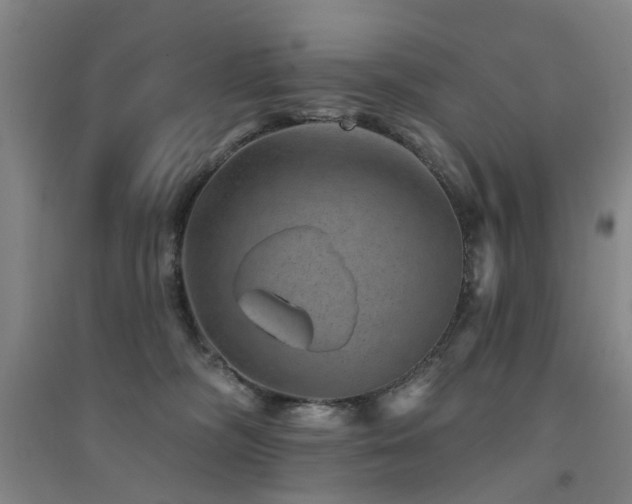 X0000094440326200711081254
