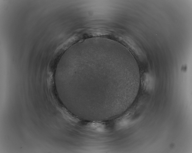 X0000094440327200711081254