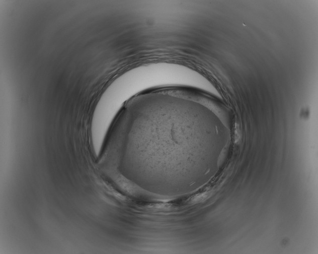 X0000094440328200711081254