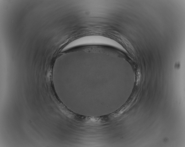 X0000094440329200711081254