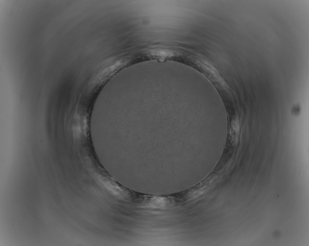X0000094440330200711081254