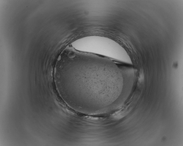 X0000094440332200711081254