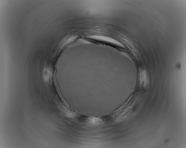 X0000094440333200711081254