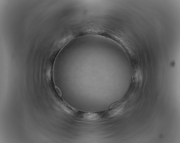 X0000094440334200711081254