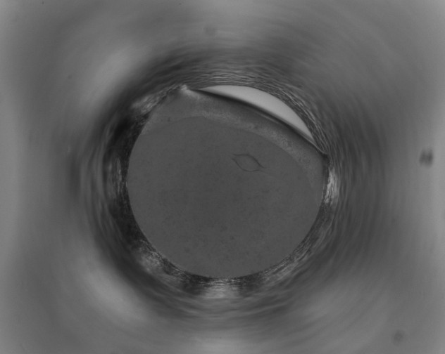 X0000094440335200711081254