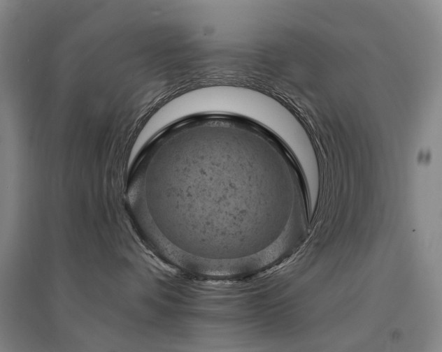 X0000094440336200711081254