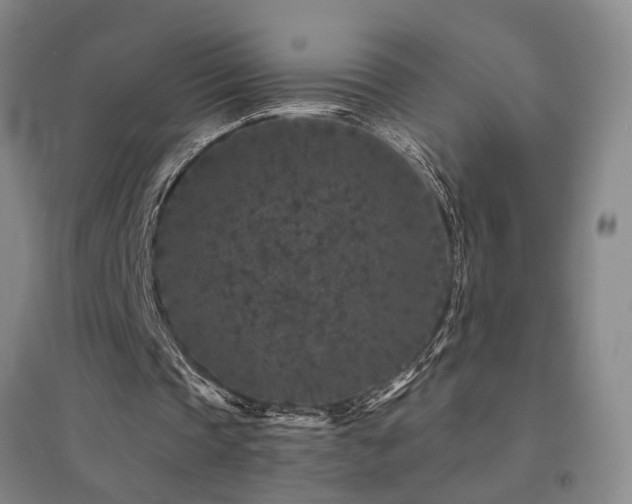 X0000094440337200711081254