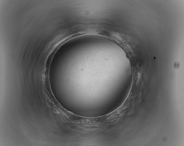 X0000094440338200711081254
