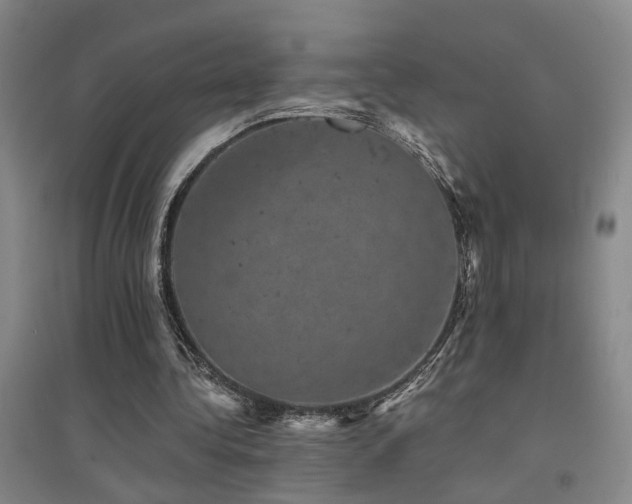 X0000094440340200711081254