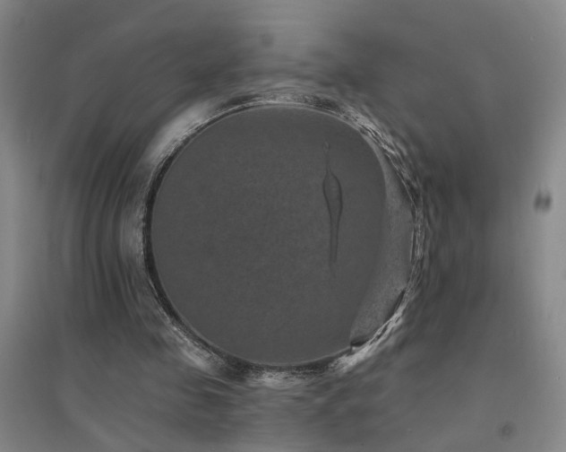 X0000094440341200711081254