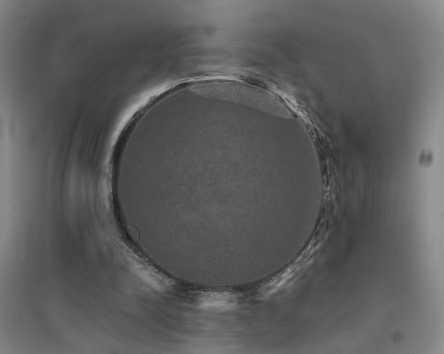 X0000094440342200711081254