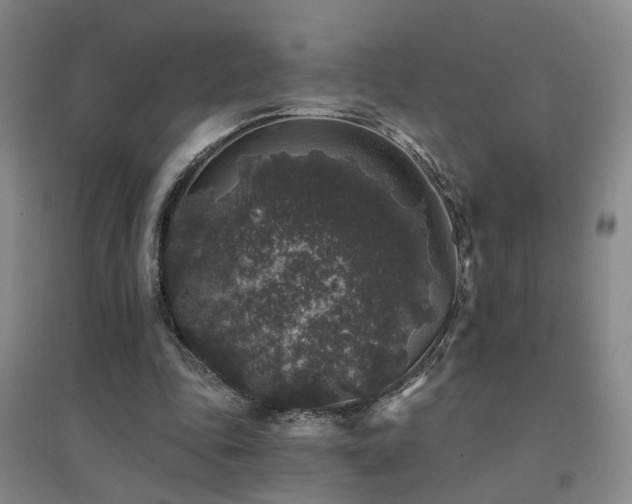 X0000094440343200711081254