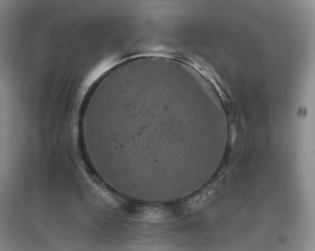 X0000094440344200711081254