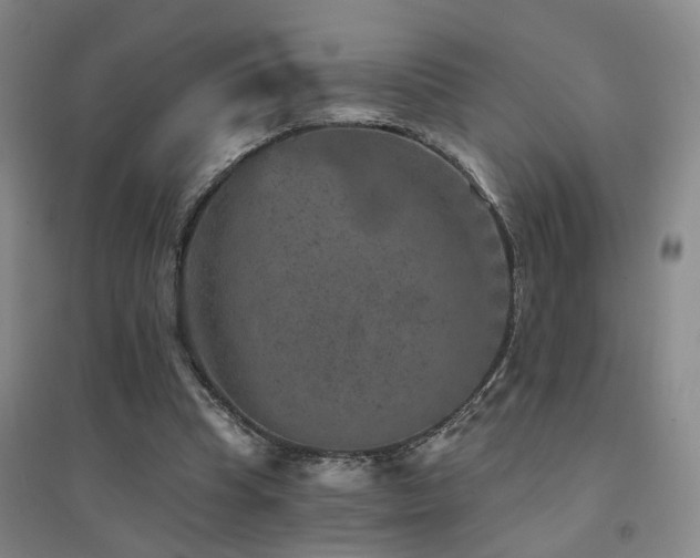 X0000094440345200711081254