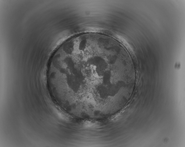 X0000094440346200711081254