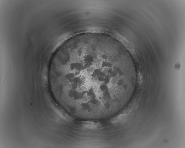 X0000094440347200711081254