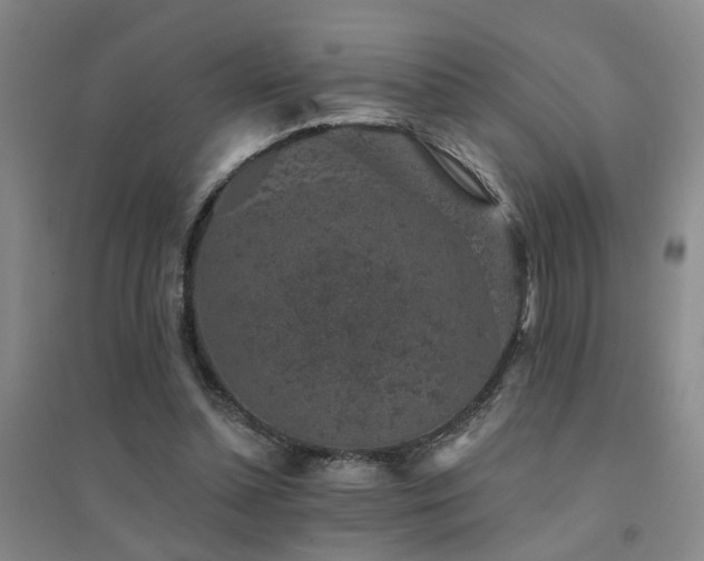 X0000094440348200711081254
