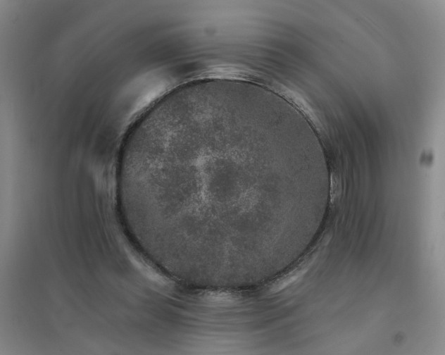 X0000094440349200711081254