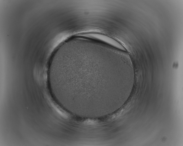 X0000094440350200711081254