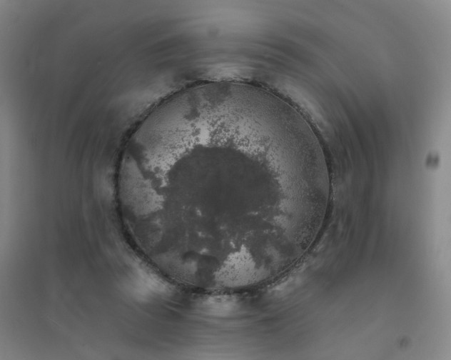 X0000094440353200711081254